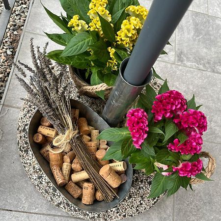 Sveva Haven Malpensa Bed & Breakfast Case Nuove  Eksteriør bilde